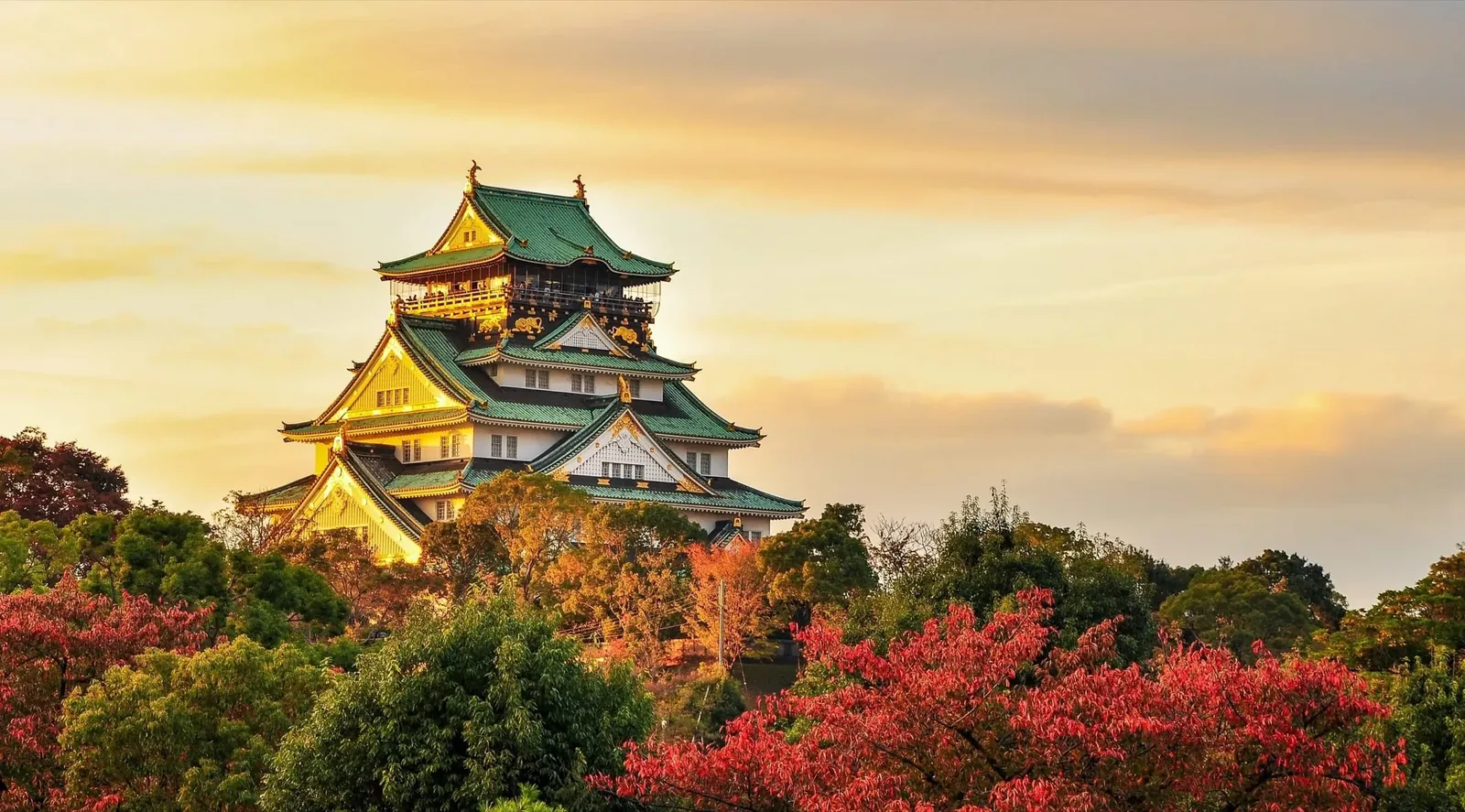 Study in Japan